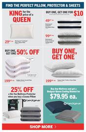 The Brick flyer Page 9