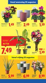 Lidl folder week 34 Pagina 16