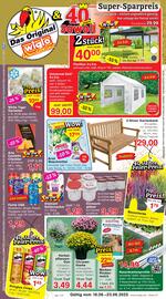 Wiglo Wunderland Prospekt woche 34 Seite 1