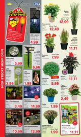 Wiglo Wunderland Prospekt woche 34 Seite 8