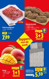 Lidl folder week 34 Pagina 2