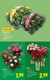 Lidl folder week 34 Pagina 28