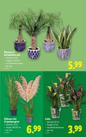 Lidl folder week 34 Pagina 54