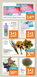 Albert Heijn folder week 34 Pagina 31