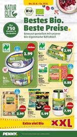 PENNY Prospekt woche 34 Seite 32