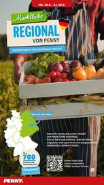 PENNY Prospekt woche 34 Seite 4