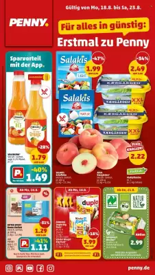 PENNY Prospekt (gültig bis 23-08)
