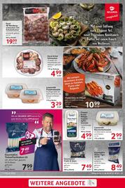 Selgros Prospekt woche 34 Seite 13