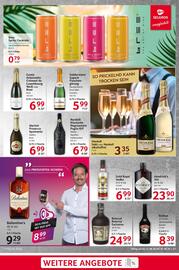 Selgros Prospekt woche 34 Seite 21