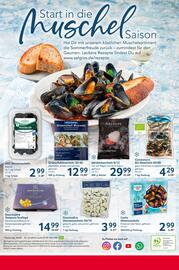 Selgros Prospekt woche 34 Seite 24