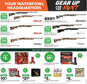 Mills Fleet Farm Weekly Ad Page 6