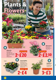 Lidl leaflet week 34 Page 22