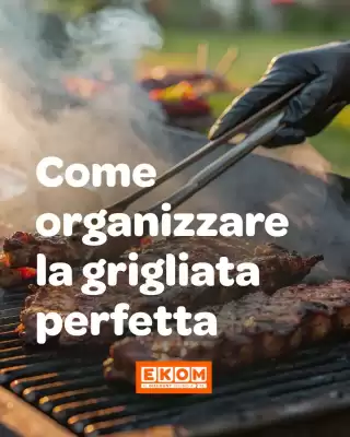 Volantino Ekom (valido fino al 24-08)