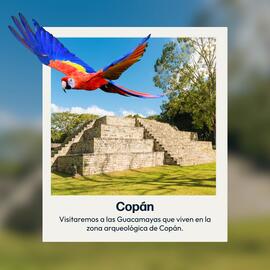 Catálogo Mega Travel semana 33 Página 2