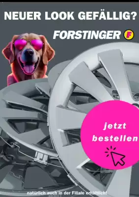 Forstinger Flugblatt (gültig bis 23-08)