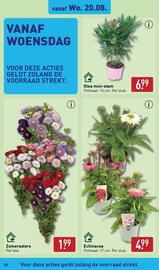 ALDI folder week 34 Pagina 28