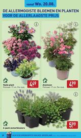 ALDI folder week 34 Pagina 29