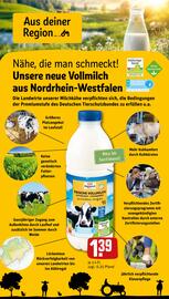 REWE Prospekt woche 34 Seite 24