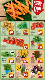 REWE Prospekt woche 34 Seite 5