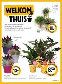 Jumbo folder week 34 Pagina 15