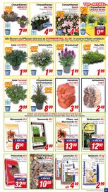 CENTERSHOP Prospekt woche 34 Seite 11
