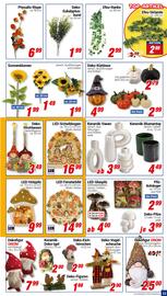 CENTERSHOP Prospekt woche 34 Seite 13