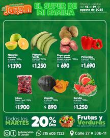 Catálogo Autoservicio El Jardín Página 2