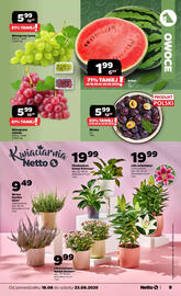 Netto gazetka tydzień 34 Strona 9