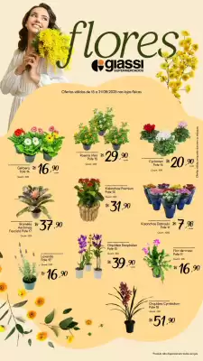 Catálogo Giassi Supermercados (válido até 21-08)