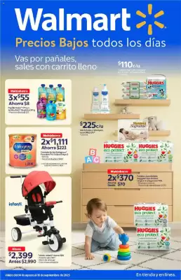 Catálogo Walmart (válido hasta 17-09)