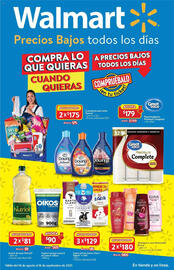 Catálogo Walmart Página 1
