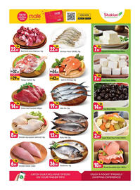 Shaklan catalogue Page 3