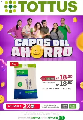 Catálogo Tottus