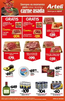 Catálogo Arteli (válido hasta 17-08)