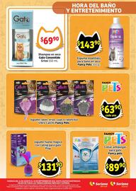 Catálogo Soriana Express Página 10