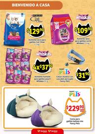 Catálogo Soriana Express Página 7