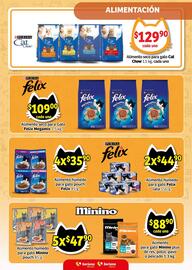 Catálogo Soriana Express Página 8