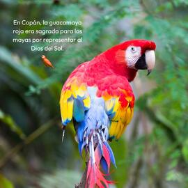 Catálogo Mega Travel Página 5