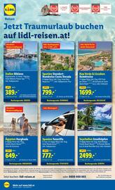Lidl Flugblatt woche 34 Seite 21