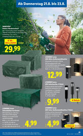 Lidl Flugblatt woche 34 Seite 25