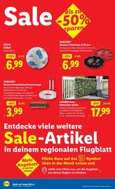 Lidl Flugblatt woche 34 Seite 27