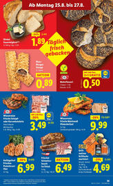 Lidl Flugblatt woche 34 Seite 37
