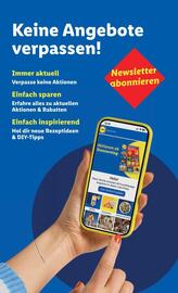 Lidl Flugblatt woche 34 Seite 45