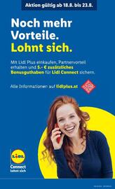 Lidl Flugblatt woche 34 Seite 46