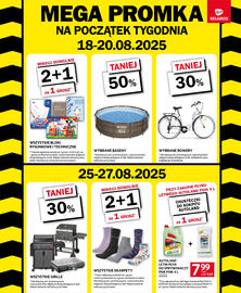 Selgros gazetka Strona 40