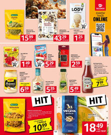 Selgros gazetka Strona 17