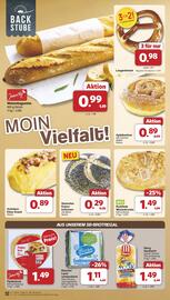 Famila Nord West Prospekt woche 34 Seite 13