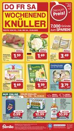 Famila Nord West Prospekt woche 34 Seite 41
