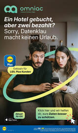 Lidl Prospekt woche 34 Seite 62