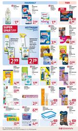 Rossmann Prospekt Seite 13